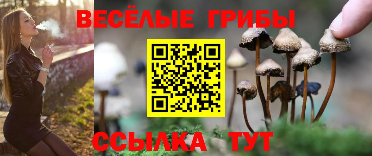Галлюциногенные грибы Psilocybine cubensis Троицк